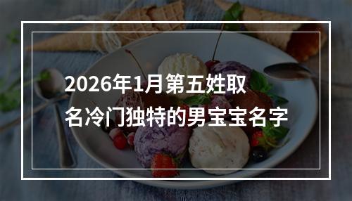 2026年1月第五姓取名冷门独特的男宝宝名字