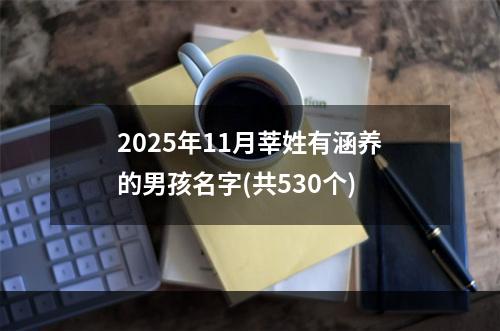 2025年11月莘姓有涵养的男孩名字(共530个)