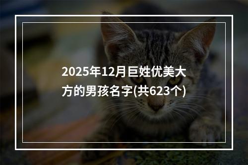 2025年12月巨姓优美大方的男孩名字(共623个)