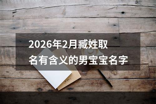 2026年2月臧姓取名有含义的男宝宝名字