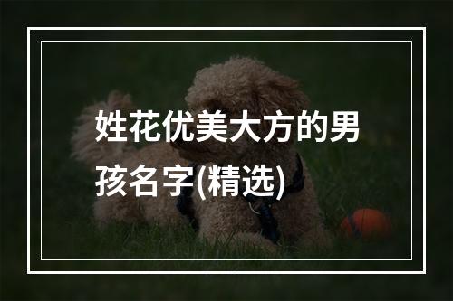 姓花优美大方的男孩名字(精选)