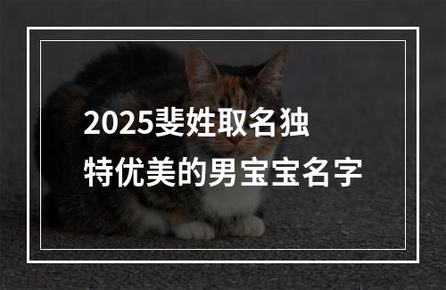 2025斐姓取名独特优美的男宝宝名字