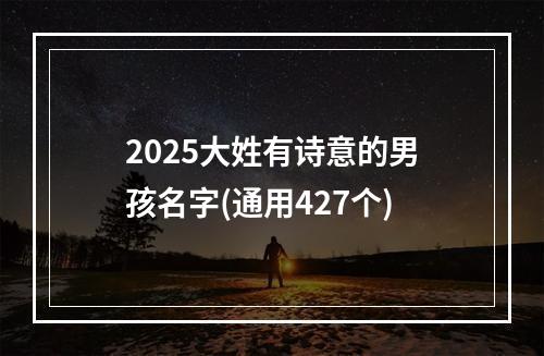 2025大姓有诗意的男孩名字(通用427个)