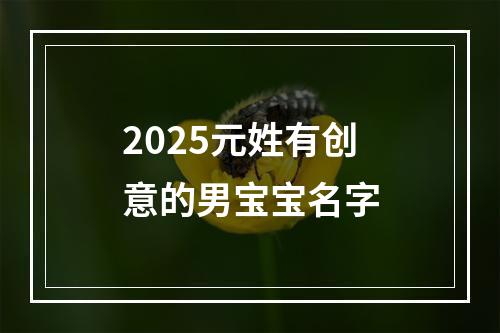 2025元姓有创意的男宝宝名字
