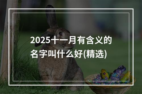 2025十一月有含义的名字叫什么好(精选)