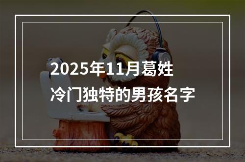 2025年11月葛姓冷门独特的男孩名字