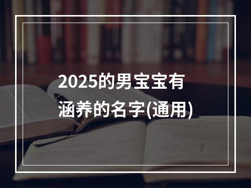 2025的男宝宝有涵养的名字(通用)