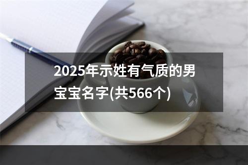 2025年示姓有气质的男宝宝名字(共566个)