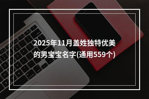 2025年11月盖姓独特优美的男宝宝名字(通用559个)