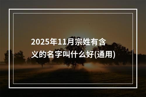 2025年11月宗姓有含义的名字叫什么好(通用)