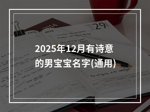 2025年12月有诗意的男宝宝名字(通用)