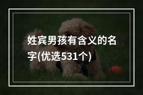 姓宾男孩有含义的名字(优选531个)