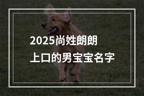 2025尚姓朗朗上口的男宝宝名字