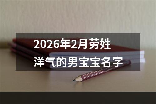 2026年2月劳姓洋气的男宝宝名字