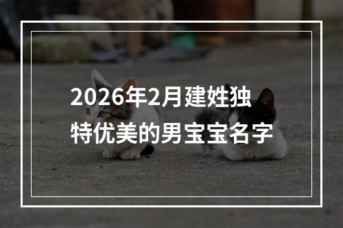 2026年2月建姓独特优美的男宝宝名字