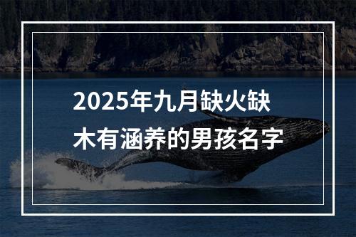 2025年九月缺火缺木有涵养的男孩名字