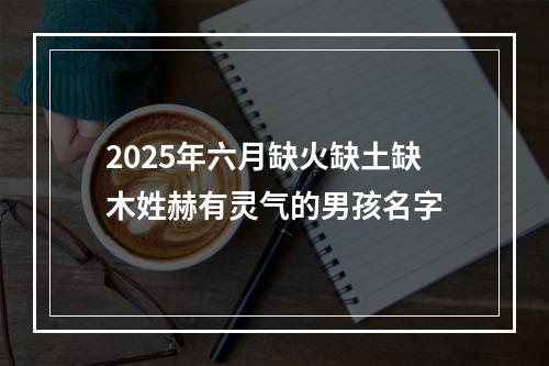 2025年六月缺火缺土缺木姓赫有灵气的男孩名字