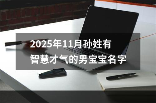 2025年11月孙姓有智慧才气的男宝宝名字