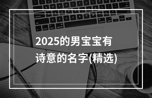 2025的男宝宝有诗意的名字(精选)