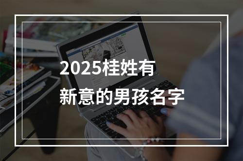 2025桂姓有新意的男孩名字