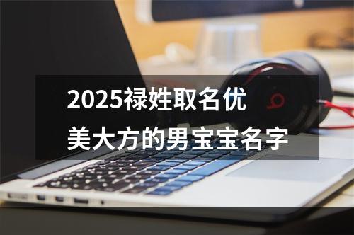 2025禄姓取名优美大方的男宝宝名字
