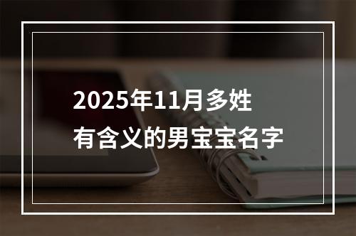 2025年11月多姓有含义的男宝宝名字