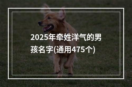 2025年牵姓洋气的男孩名字(通用475个)