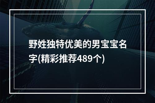 野姓独特优美的男宝宝名字(精彩推荐489个)