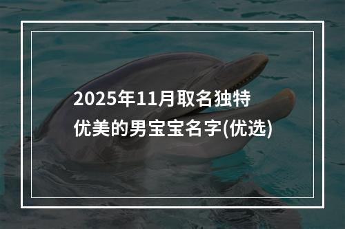2025年11月取名独特优美的男宝宝名字(优选)