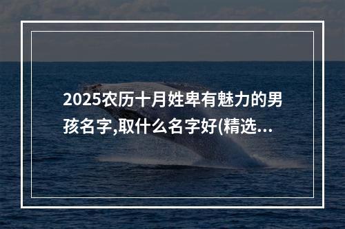 2025农历十月姓卑有魅力的男孩名字,取什么名字好(精选)
