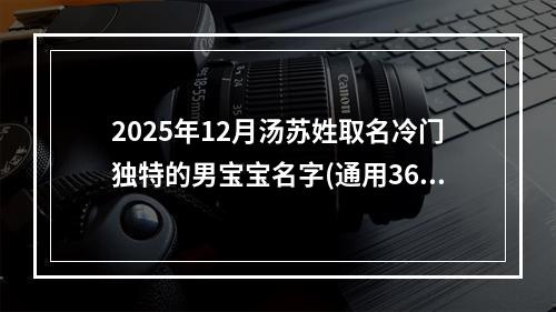 2025年12月汤苏姓取名冷门独特的男宝宝名字(通用366个)