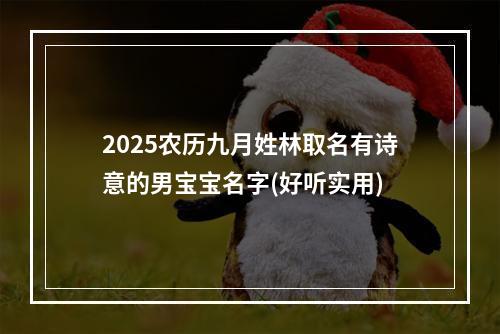 2025农历九月姓林取名有诗意的男宝宝名字(好听实用)