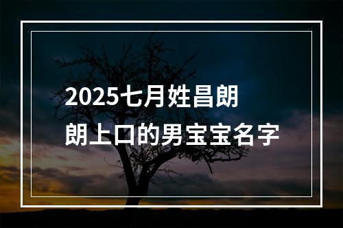 2025七月姓昌朗朗上口的男宝宝名字