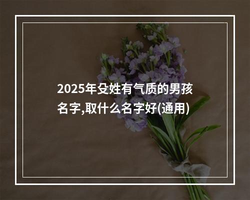 2025年殳姓有气质的男孩名字,取什么名字好(通用)