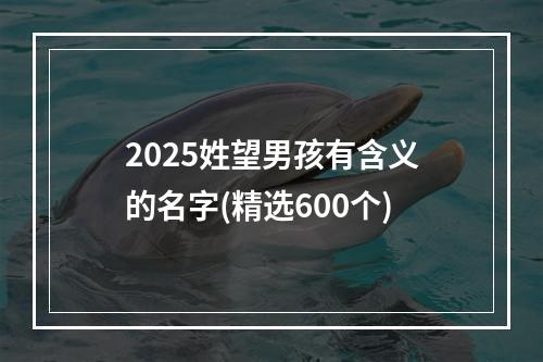 2025姓望男孩有含义的名字(精选600个)