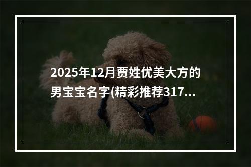 2025年12月贾姓优美大方的男宝宝名字(精彩推荐317个)