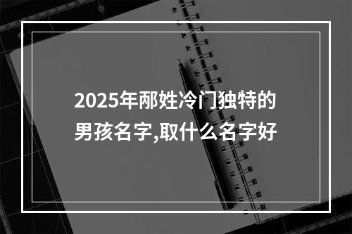 2025年邴姓冷门独特的男孩名字,取什么名字好