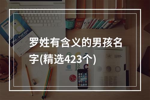 罗姓有含义的男孩名字(精选423个)