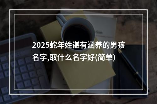 2025蛇年姓谌有涵养的男孩名字,取什么名字好(简单)