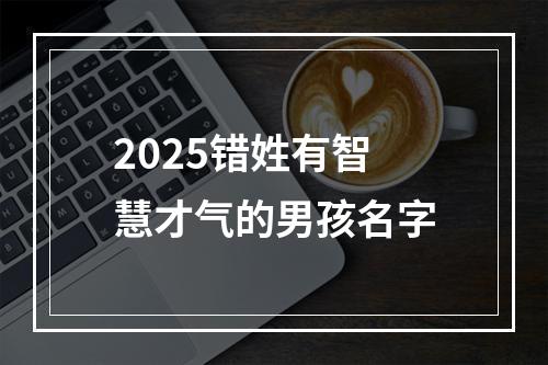 2025错姓有智慧才气的男孩名字