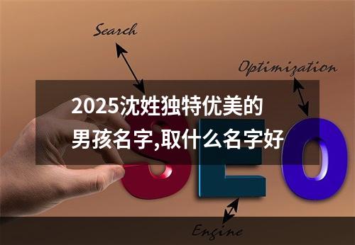 2025沈姓独特优美的男孩名字,取什么名字好