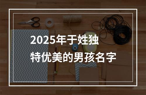 2025年于姓独特优美的男孩名字