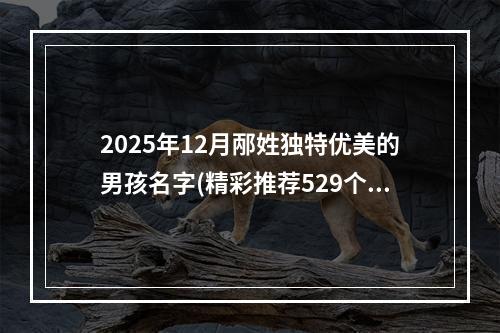 2025年12月邴姓独特优美的男孩名字(精彩推荐529个)