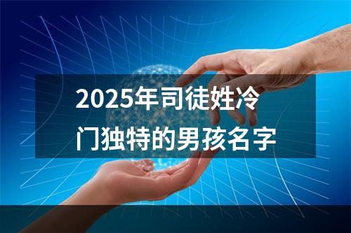 2025年司徒姓冷门独特的男孩名字