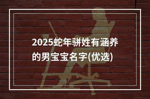 2025蛇年骈姓有涵养的男宝宝名字(优选)