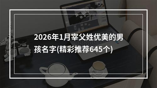2026年1月宰父姓优美的男孩名字(精彩推荐645个)