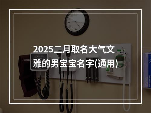 2025二月取名大气文雅的男宝宝名字(通用)