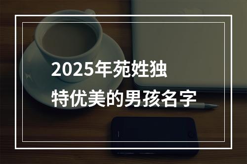 2025年苑姓独特优美的男孩名字