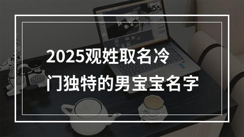 2025观姓取名冷门独特的男宝宝名字