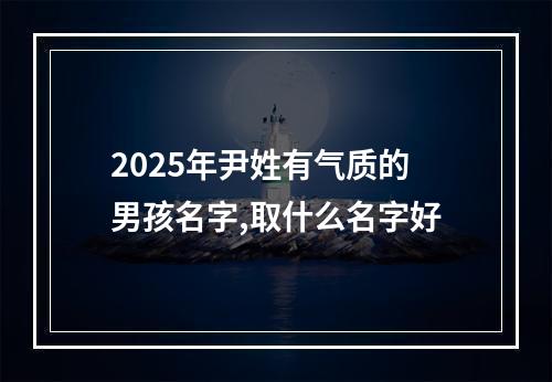 2025年尹姓有气质的男孩名字,取什么名字好